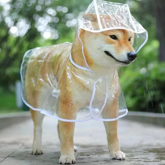 Puddle-Proof Paw Poncho