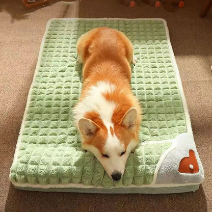 Pawsitively Cozy Thermal Bed